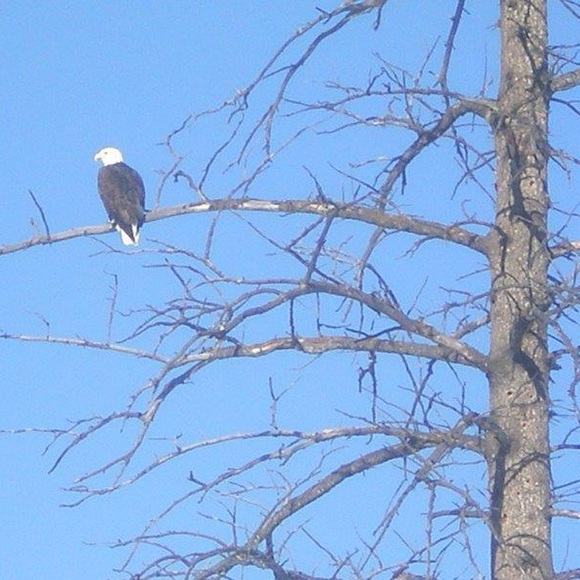 MEET YOUR POSHER - Picture 8 of 12